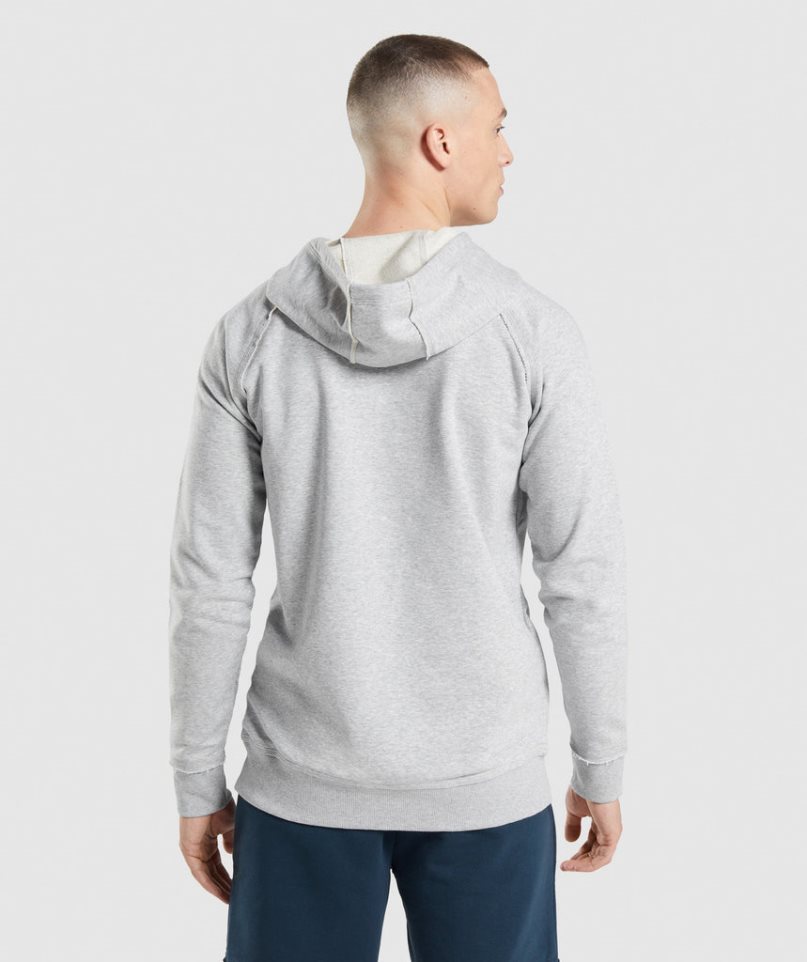 Sudadera Con Capucha Gymshark Legacy Hombre Gris Claro | ES6254-QP