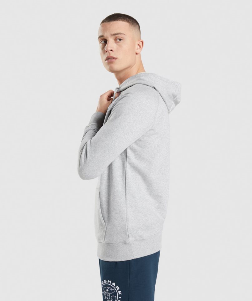 Sudadera Con Capucha Gymshark Legacy Hombre Gris Claro | ES6254-QP