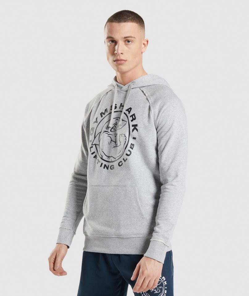 Sudadera Con Capucha Gymshark Legacy Hombre Gris Claro | ES6254-QP