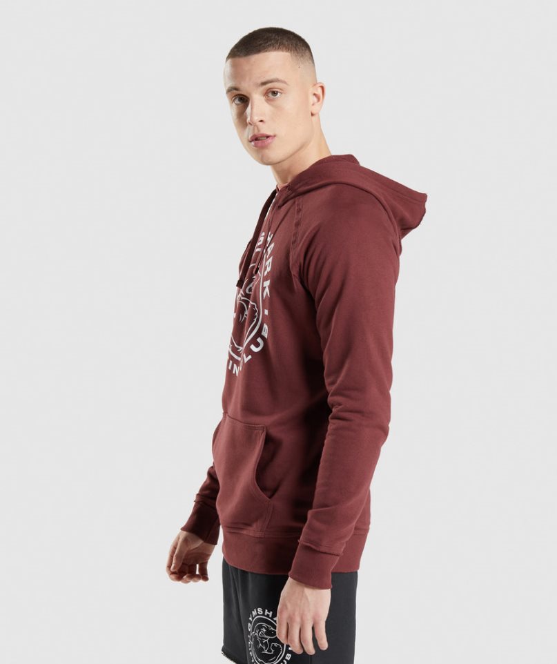 Sudadera Con Capucha Gymshark Legacy Hombre Marrones | ES8429-FK