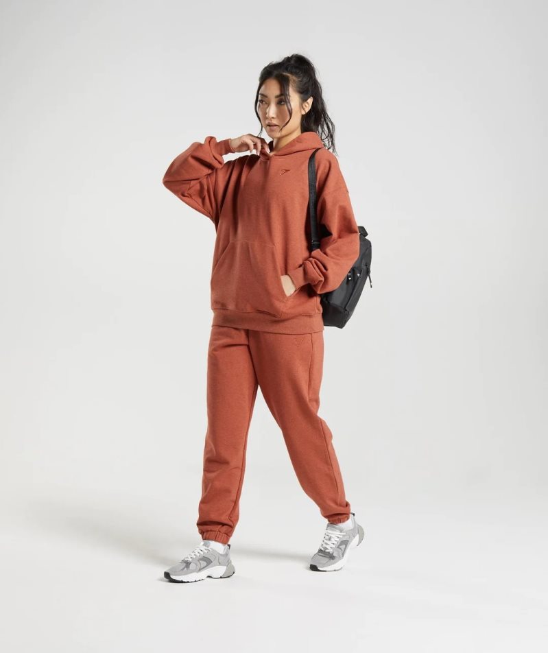 Sudadera Con Capucha Gymshark Rest Day Sweats Mujer Marrones | ES4603-QJ