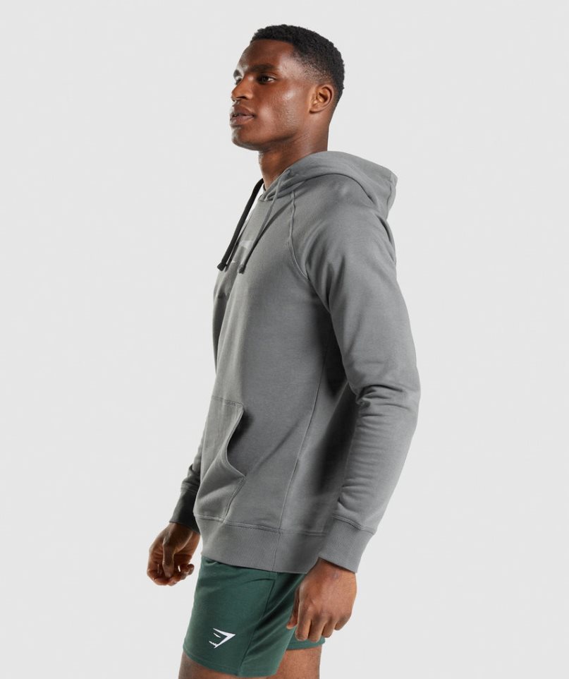 Sudadera Con Capucha Gymshark Sharkhead Infill Hombre Gris | ES1940-GA