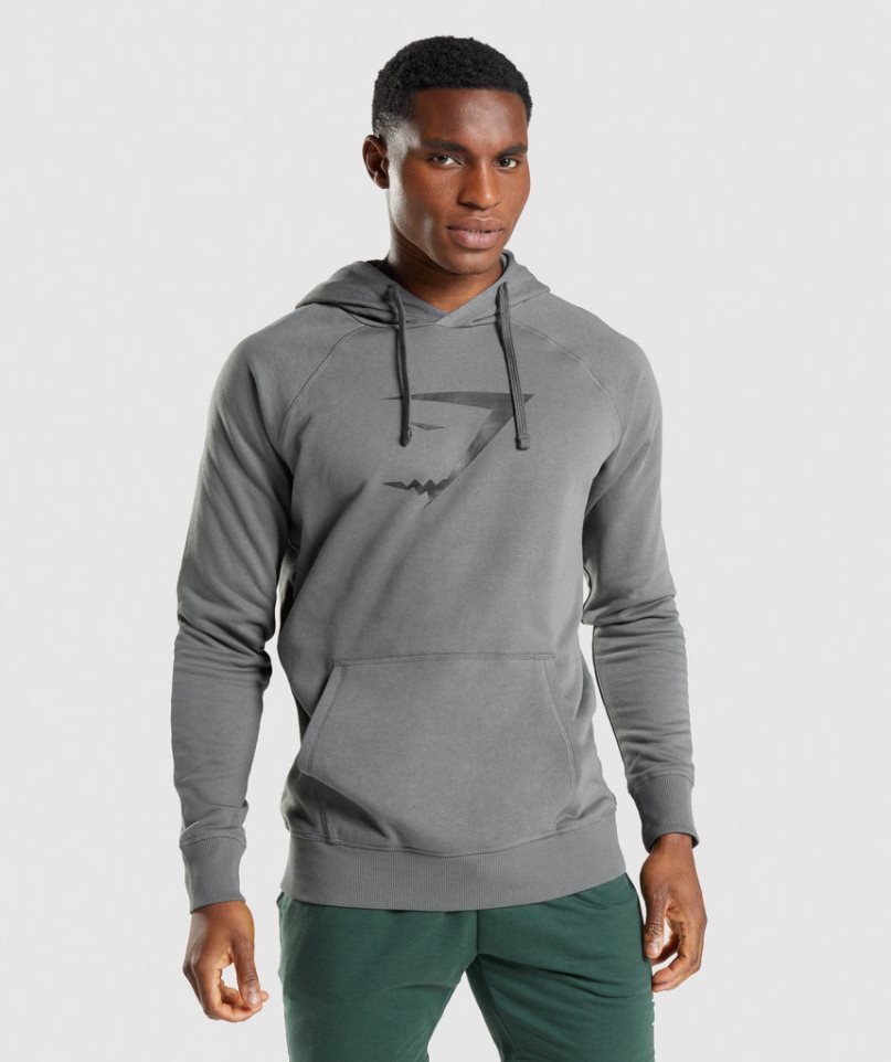 Sudadera Con Capucha Gymshark Sharkhead Infill Hombre Gris | ES1940-GA