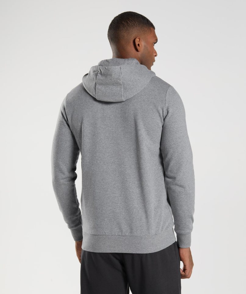 Sudadera Con Capucha Gymshark Sharkhead Infill Hombre Gris | ES2341-WE