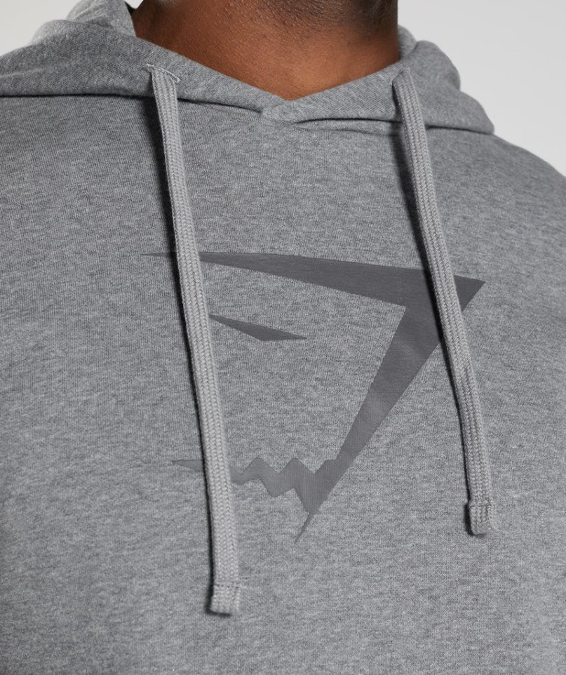 Sudadera Con Capucha Gymshark Sharkhead Infill Hombre Gris | ES2341-WE