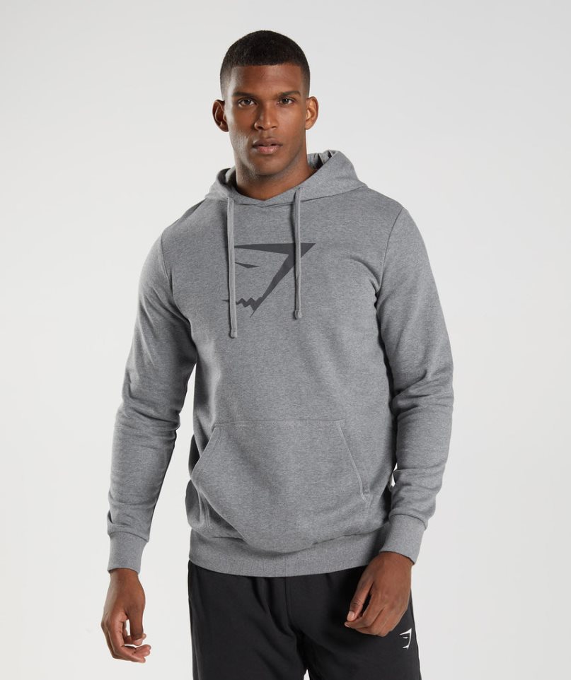 Sudadera Con Capucha Gymshark Sharkhead Infill Hombre Gris | ES2341-WE