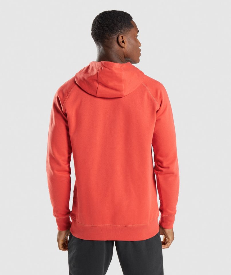 Sudadera Con Capucha Gymshark Sharkhead Infill Hombre Naranjas | ES6723-FA