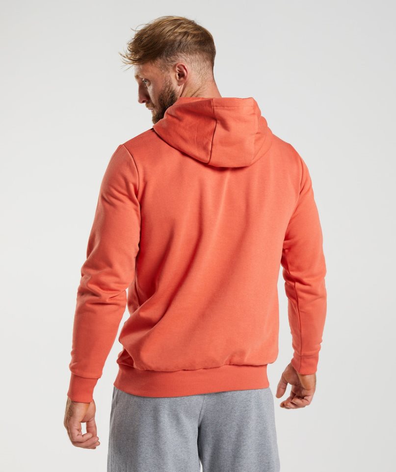 Sudadera Con Capucha Gymshark Sharkhead Infill Hombre Naranjas | ES6924-YP