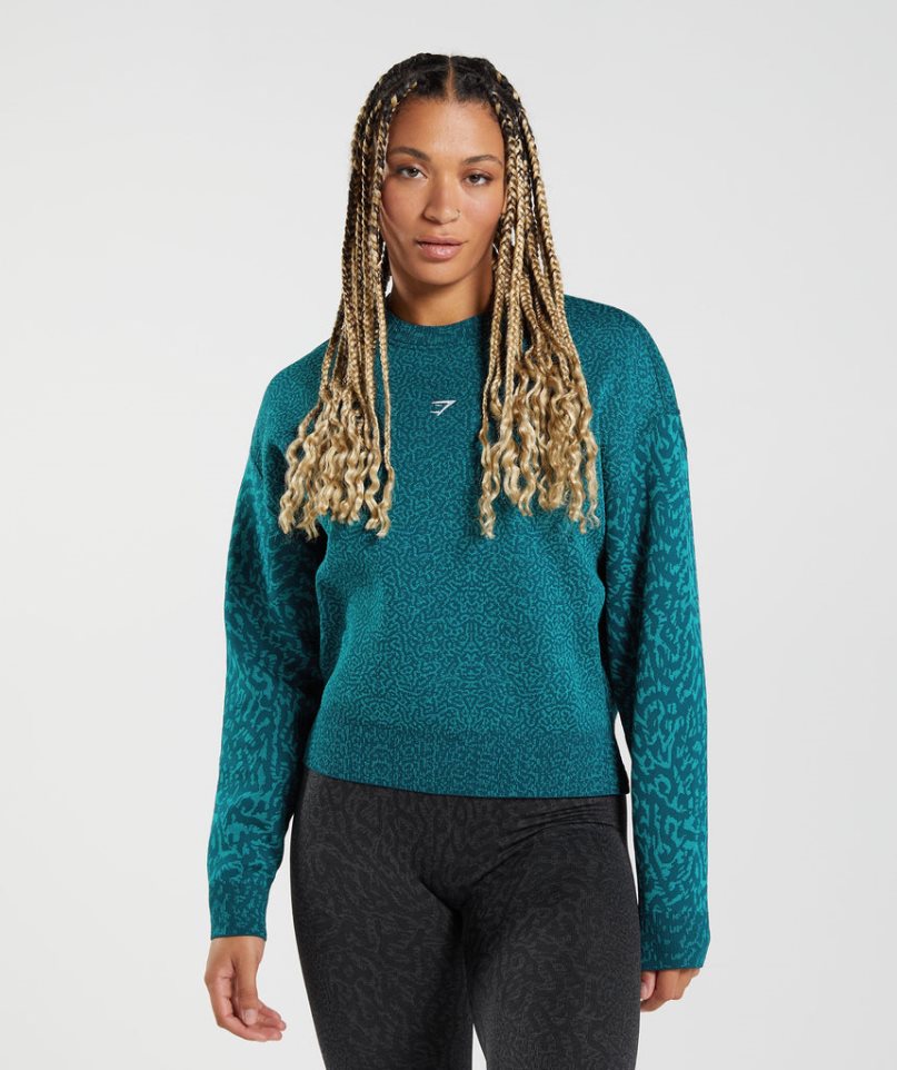 Sudaderas Gymshark Adapt Animal Mujer Turquesa | ES9157-TJ