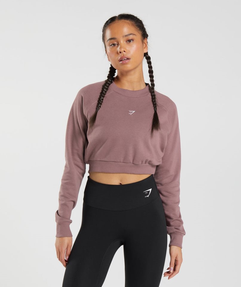 Sudaderas Gymshark Entrenamiento Cropped Mujer Rosas | ES0419-BV