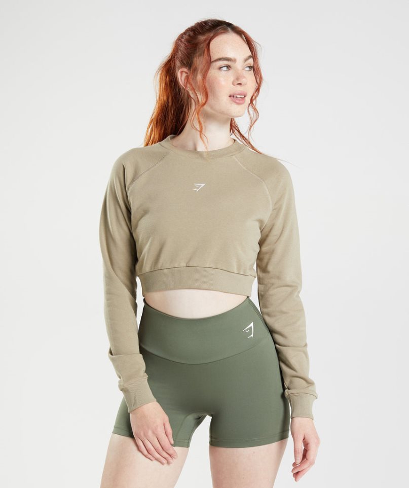 Sudaderas Gymshark Entrenamiento Cropped Mujer Beige | ES4913-WT