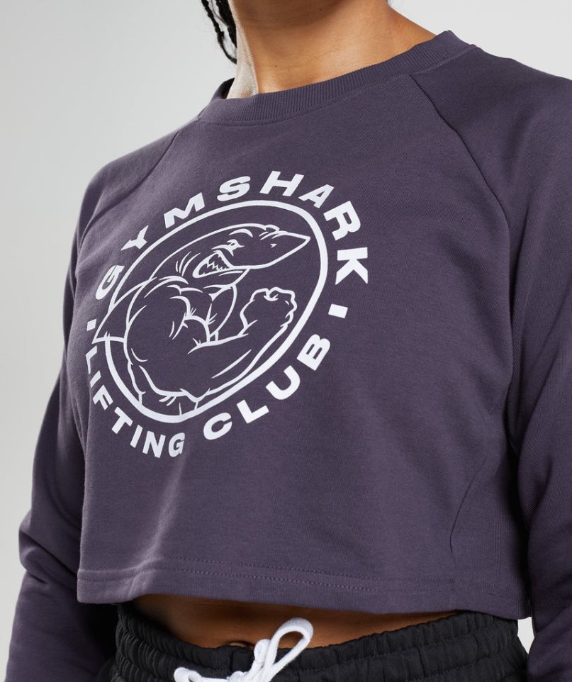 Sudaderas Gymshark Legacy Cropped Mujer Moradas | ES7962-XP