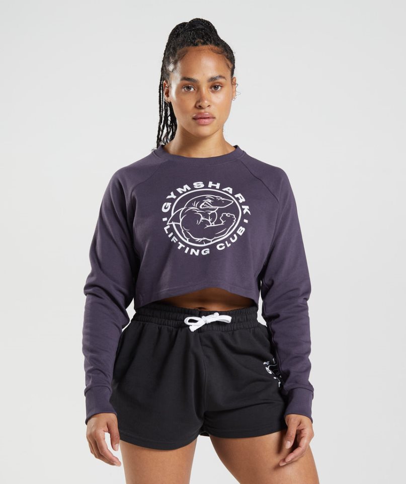 Sudaderas Gymshark Legacy Cropped Mujer Moradas | ES7962-XP