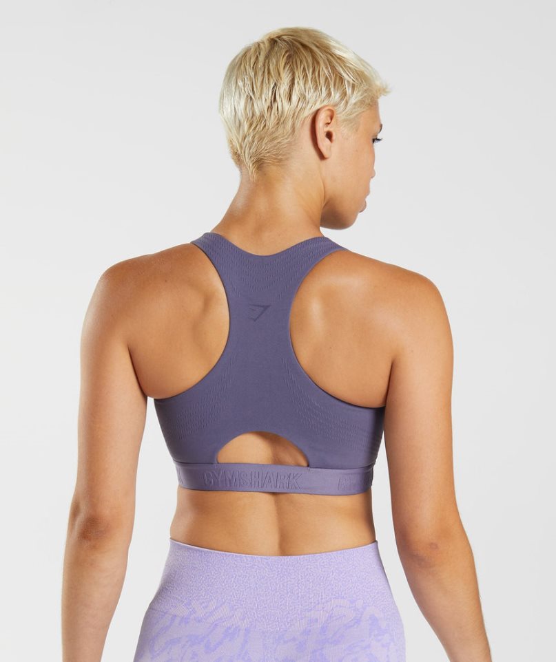 Sujetadores Deportivos Gymshark 315 Performance High Neck Mujer Moradas | ES0473-WH