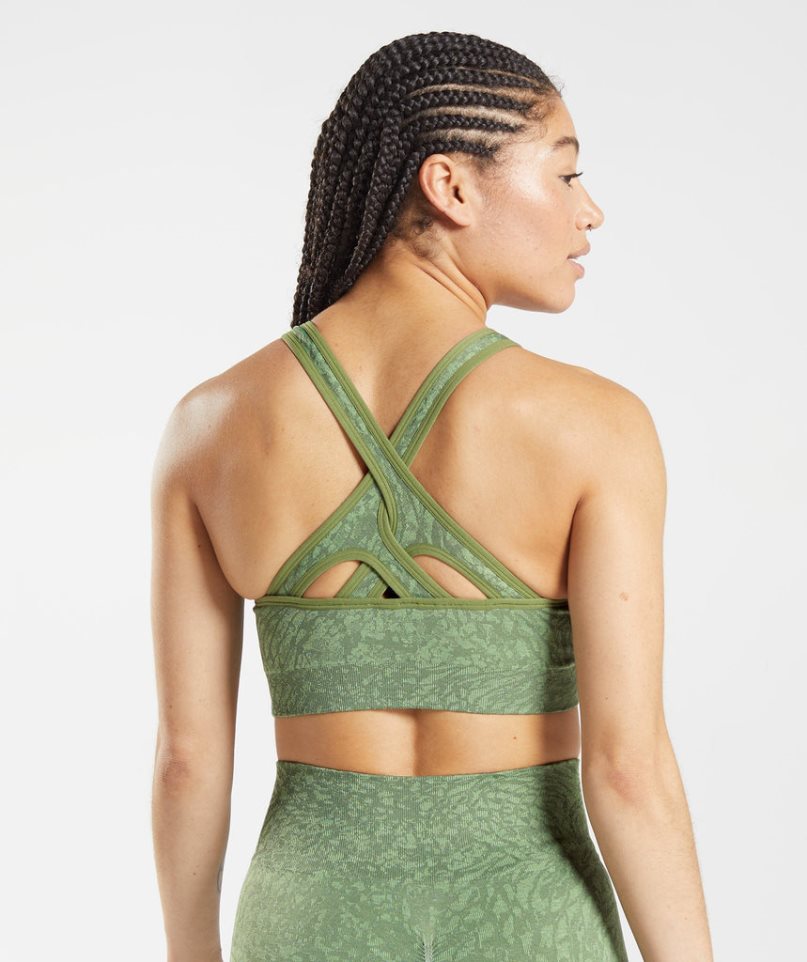 Sujetadores Deportivos Gymshark Adapt Animal Seamless Mujer Verde | ES6520-QG