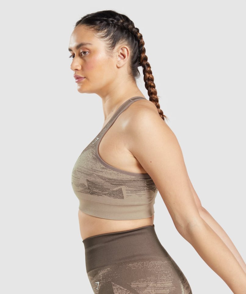 Sujetadores Deportivos Gymshark Adapt Ombre Seamless Mujer Marrones | ES1643-PN