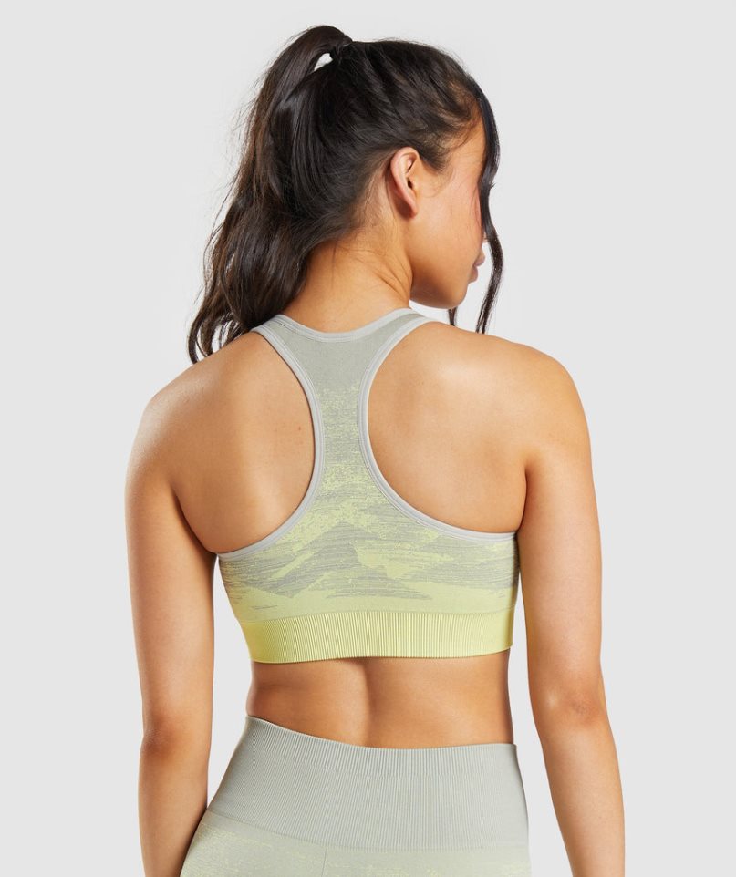 Sujetadores Deportivos Gymshark Adapt Ombre Seamless Mujer Gris | ES9617-XW