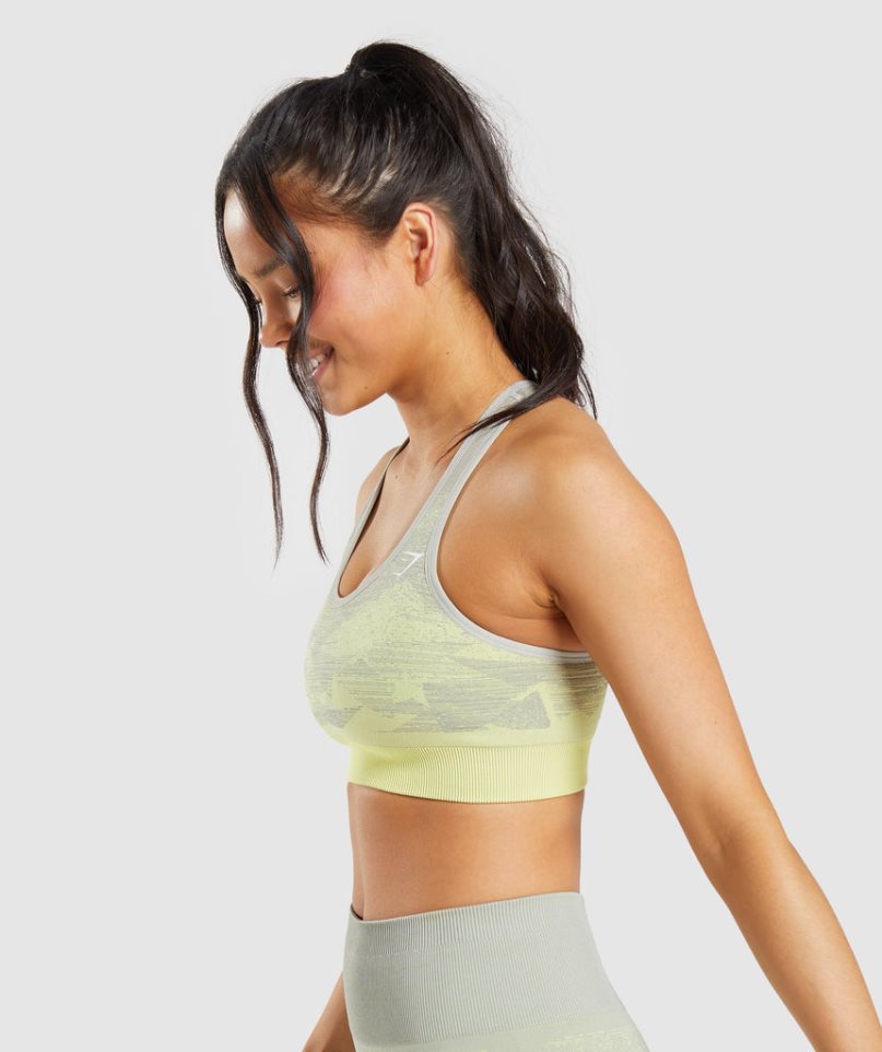 Sujetadores Deportivos Gymshark Adapt Ombre Seamless Mujer Gris | ES9617-XW