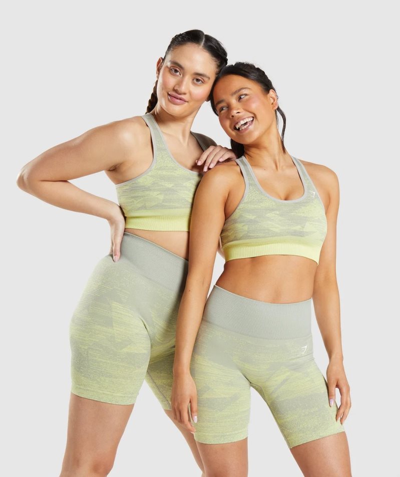 Sujetadores Deportivos Gymshark Adapt Ombre Seamless Mujer Gris | ES9617-XW