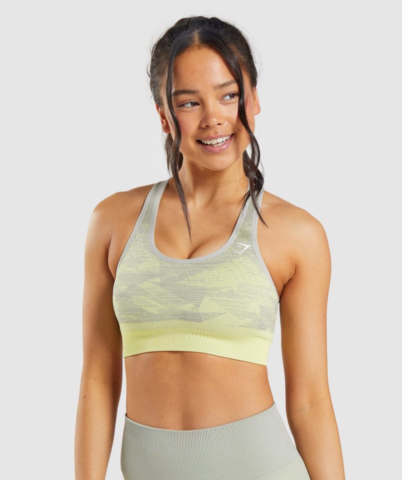 Sujetadores Deportivos Gymshark Adapt Ombre Seamless Mujer Gris | ES9617-XW