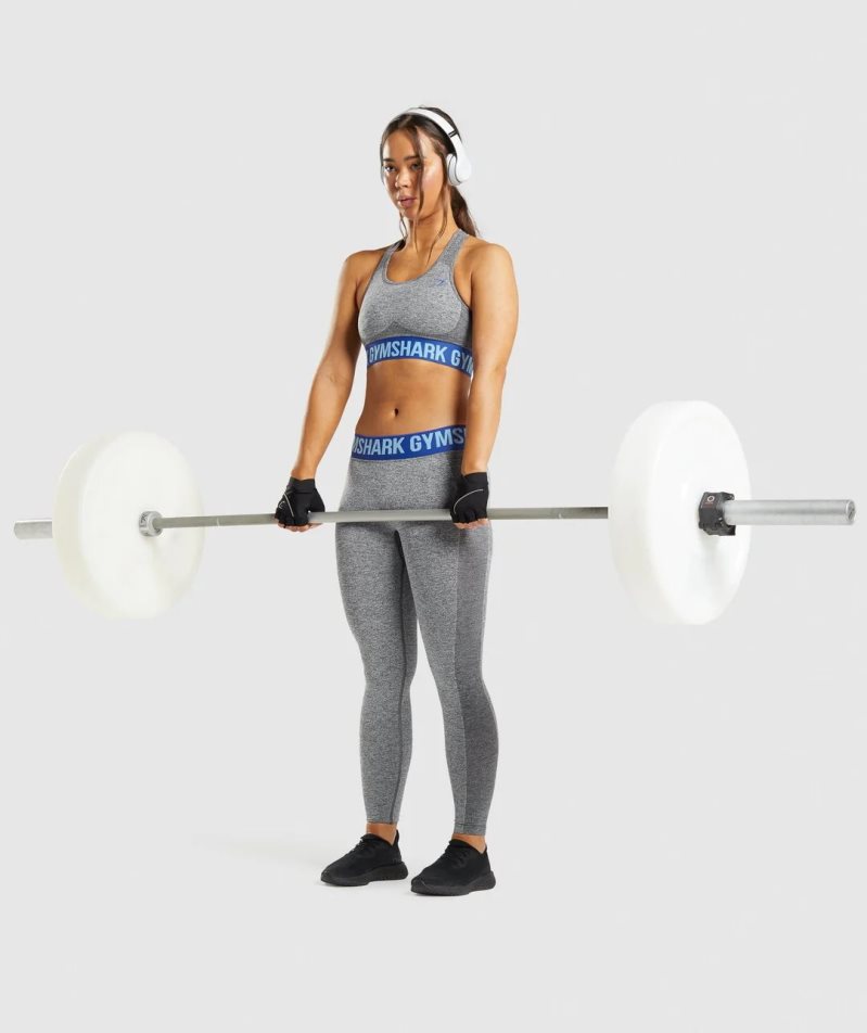 Sujetadores Deportivos Gymshark Flex Mujer Gris | ES1847-YB